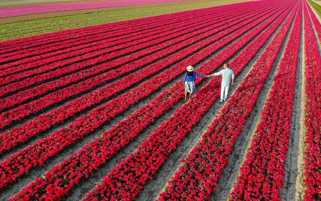 Photo men and women in flower fields seen from above with a drone in the netherlands flower fields