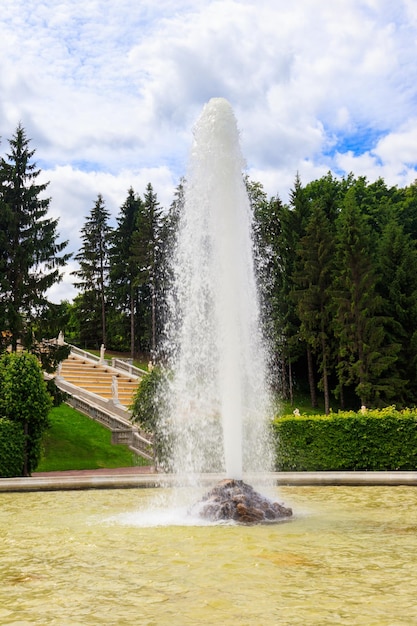 Menageriefontein in Lager park van Peterhof in St. Petersburg Rusland