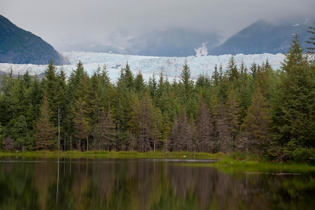 Mendenhall Glacier near Juneau, Alaska