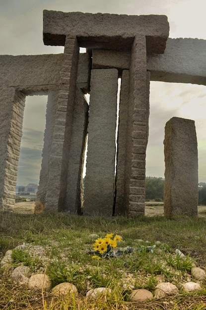 Photo menhirs and flowers over the sea