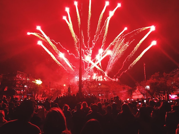 Menigte geniet 's nachts van een muziekconcert