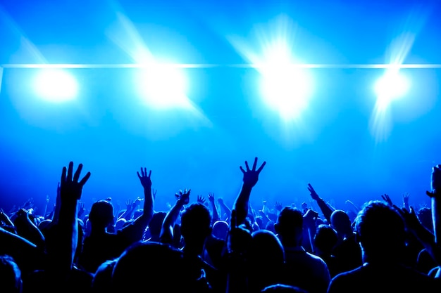 Menigte op een muziekconcert