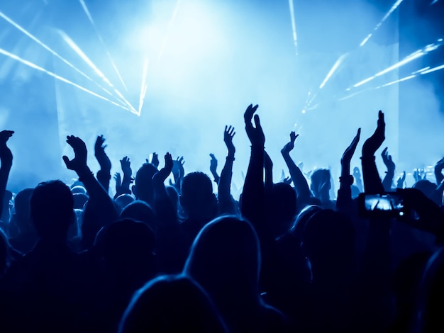 Menigte op een muziekconcert