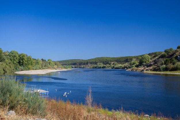 Mening in rivier in Vila Nova da Barquinha, Portugal