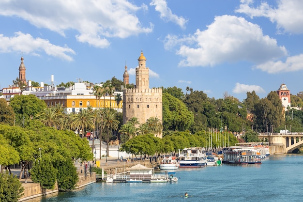 Mening van de stad van Sevilla en torre del oro bij de zomer, Spanje