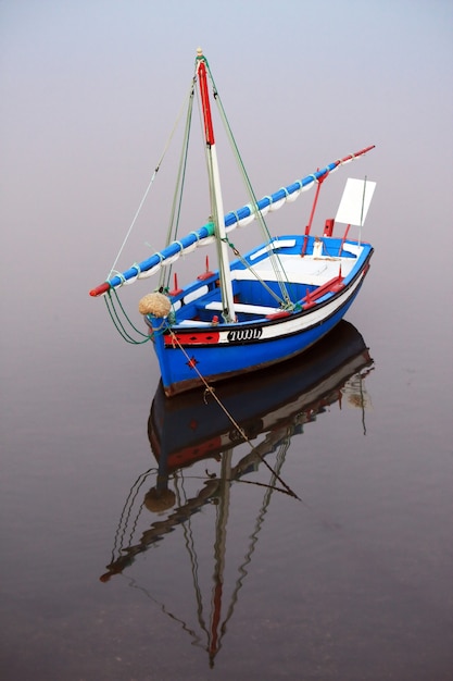 Mening van een mooie blauwe vissersboot, typisch van het Portugese land.