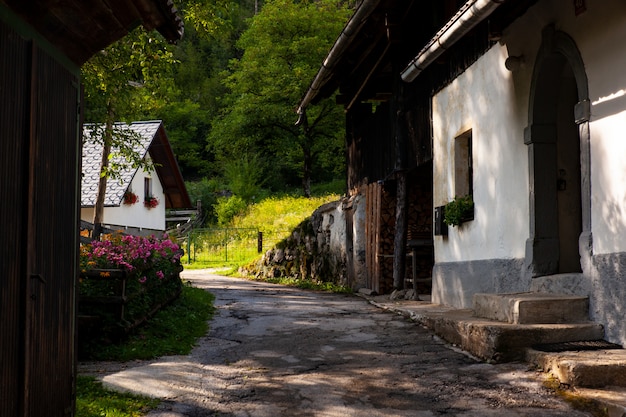 Mening van Sloveens chalet in Stara Fuzina, Slovenië