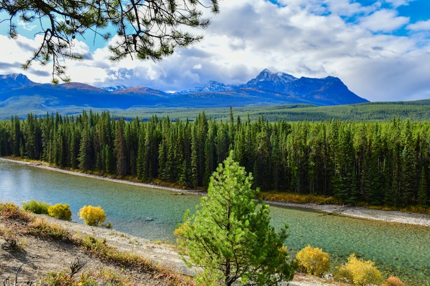 Meningen van Bergen en Boog-rivier vanuit gezichtspunten bij het brede rijweg met mooi aangelegd landschap van de boogvallei in het Nationale park van Banff, Alberta, Canada