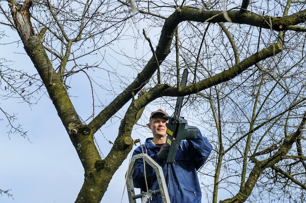 Mens die een tak van vernietigde boom snijdt.