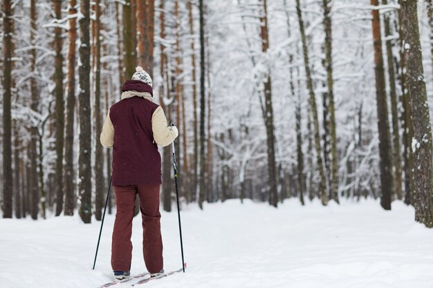 Mens die in Forest Back View ski? En