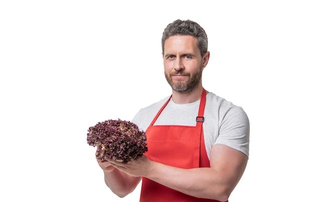 Mens in schort met heldere slagroente die op wit wordt geïsoleerd