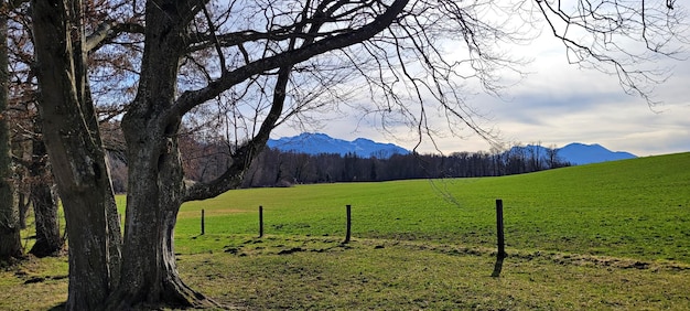 Mens island on Lake Chiemsee Germany