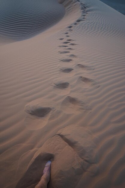 Foto menselijk been op het zand