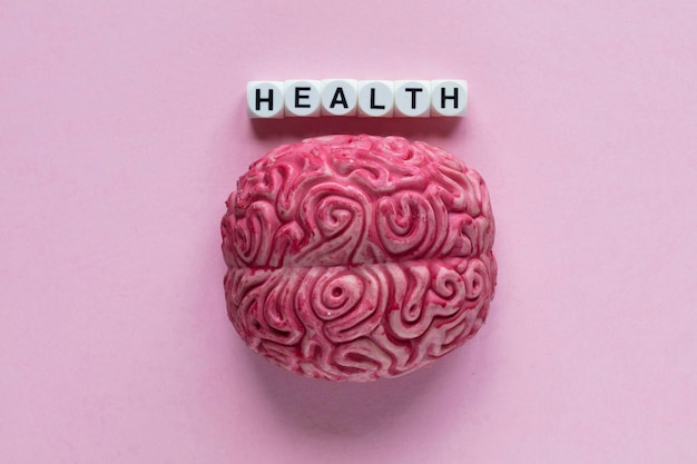 Foto menselijk brein met het woord gezondheid geestelijke gezondheid concept