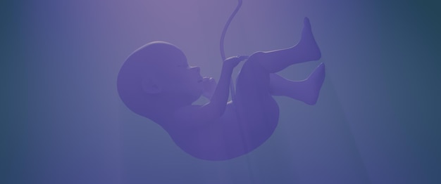 Menselijk embryo in de stralen van gekleurd licht