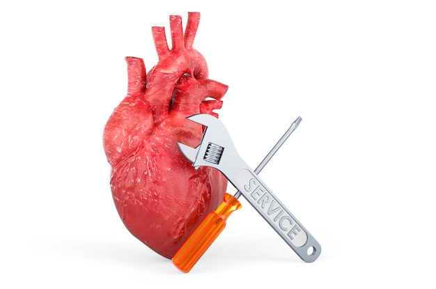 Menselijk hart met schroevendraaier en moersleutel 3D-rendering