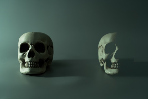 Menselijke dood schedel hoofd. Halloween party achtergrond