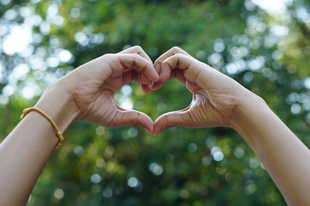 menselijke hand hart groene bokeh achtergrond