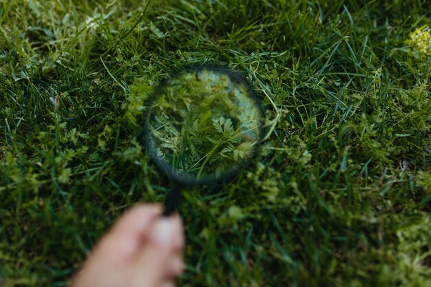 Foto menselijke hand houdt gras vast