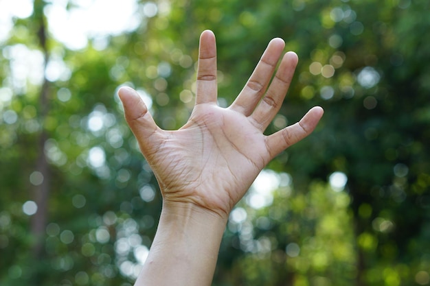 menselijke hand opgevoed groene bokeh achtergrond