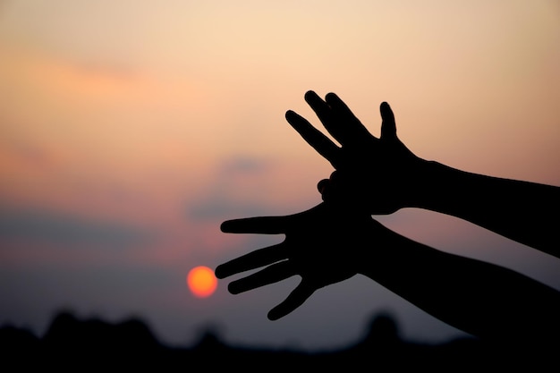 Menselijke hand silhouet van vliegende vogel zonsondergang achtergrond