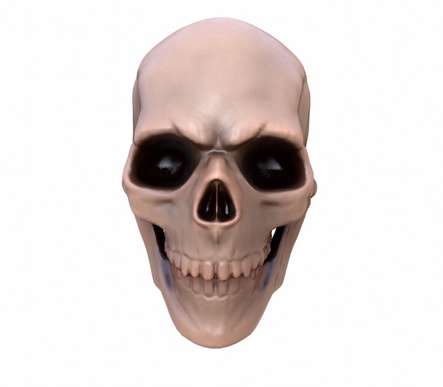 Menselijke schedel op rich colors een witte achtergrond het concept van dood horror een symbool van griezelige halloween 3d render illustratie