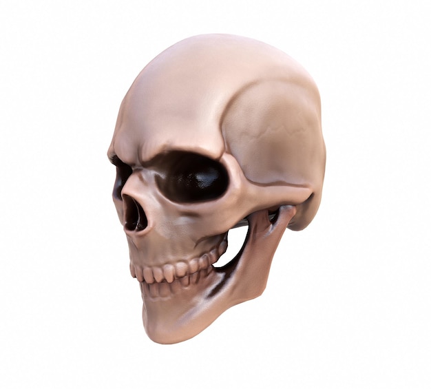 Menselijke schedel op Rich Colors een witte achtergrond Het concept van dood horror Een symbool van griezelige Halloween 3d render illustratie