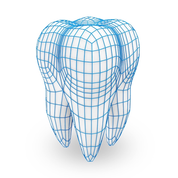 Menselijke tand met rasterbeschermingsconcept