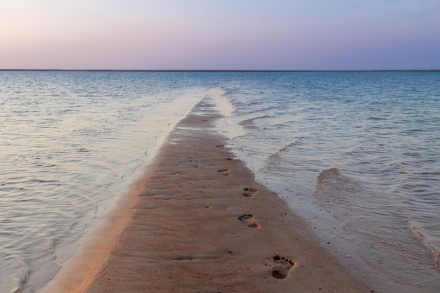 Menselijke voetafdrukken op nat zand gaan de zee op langs een smalle strook zand bij zonsopgang Dahab Egypte