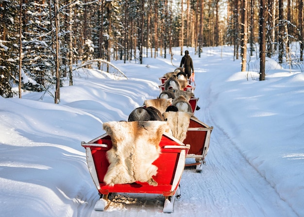 Mensen bij de caravan van de Rendierslee in het bos van de winter Rovaniemi, Lapland, Finland