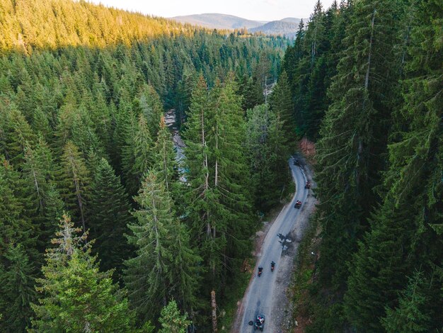 Mensen die atv berijden bij de Oekraïense Karpatische bergen