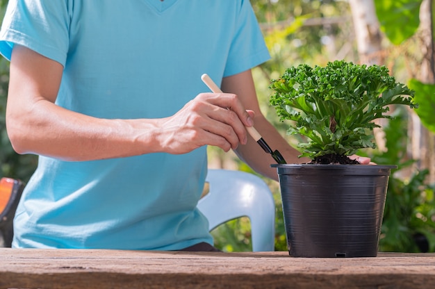 Mensen die bomen in potten planten concept van liefde planten houden van milieu