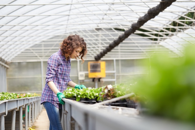 Mensen die in een tuinopslag werken