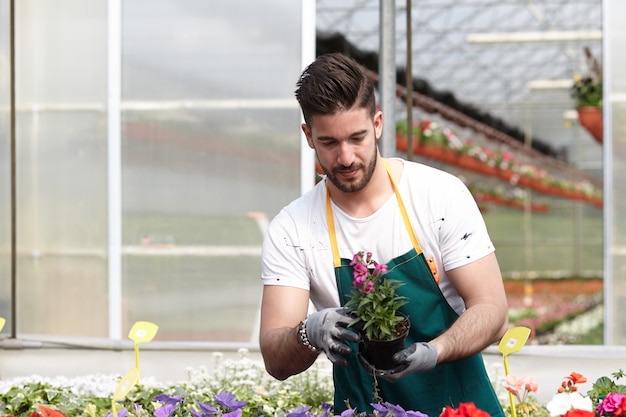 Mensen die in een tuinwinkel werken