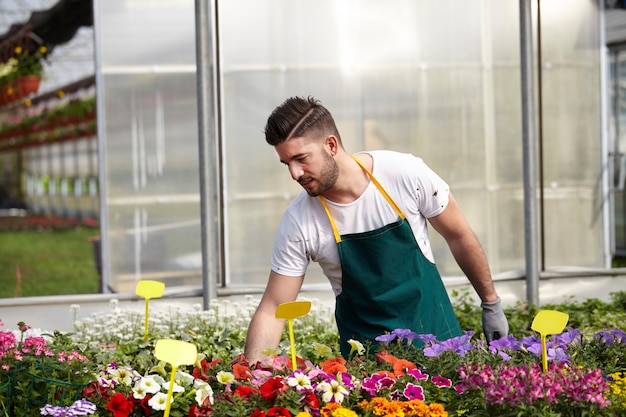 Mensen die in een tuinwinkel werken