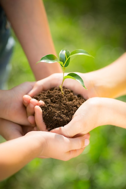 Mensen die jonge plant in handen houden tegen groene lente achtergrond Earth day ecologie vakantie concept