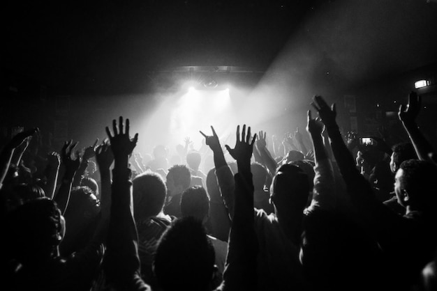 Mensen die 's nachts van een muziekconcert genieten