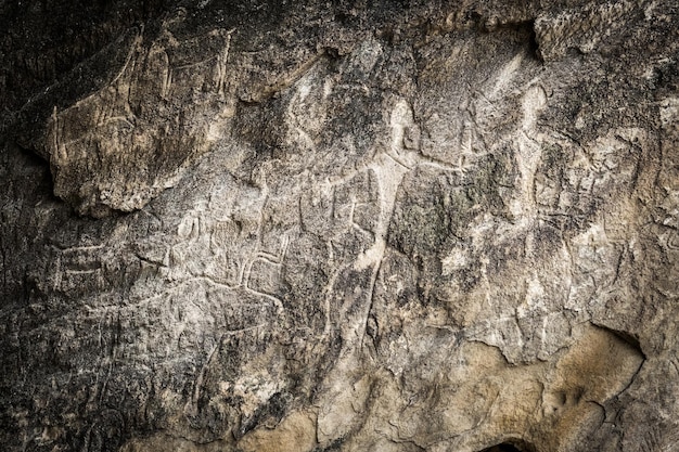 Mensen en dieren gesneden op rotsrotstekeningen in gobustan expositie van rotstekeningen in gobustan dichtbij