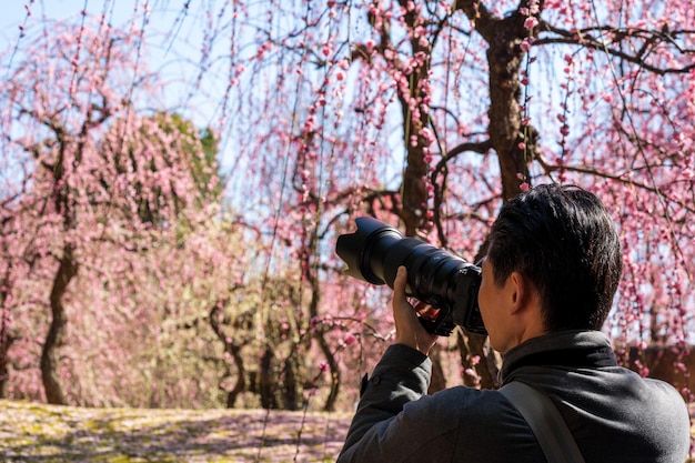 Foto mensen in de japanse tuin van de jonangu-heiligdom nemen foto's van huilende pruimenbloesems