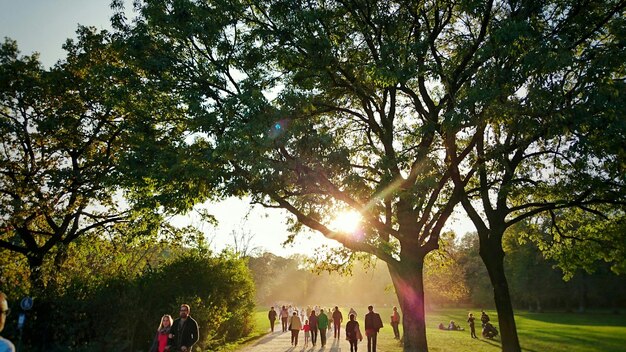 Mensen in het park.