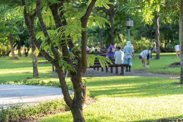 Mensen in het park.