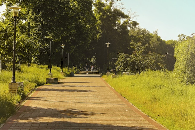 Mensen lopen door zomerpark op zonnige dag