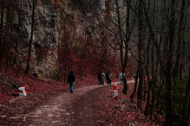 Mensen lopen in de bergen in de herfst rond de bergen en rood gebladerte