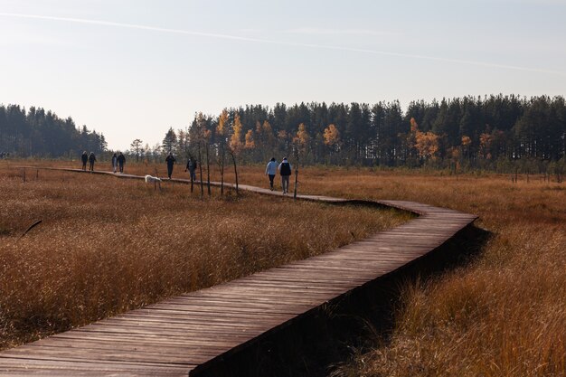 Mensen lopen op het houten pad door de moerassige landen van Sestroretsk, Rusland