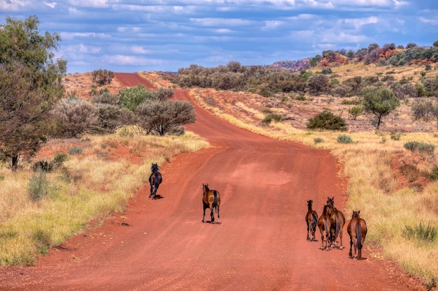 Foto mensen lopen op het landschap tegen de lucht