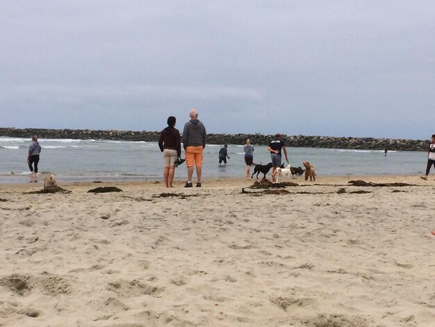 Foto mensen lopen op het strand tegen de lucht.