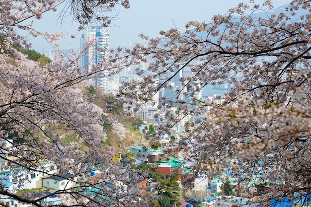 Mensen lopen op Jinhae Gunhangje Festival in Busan, Korea.