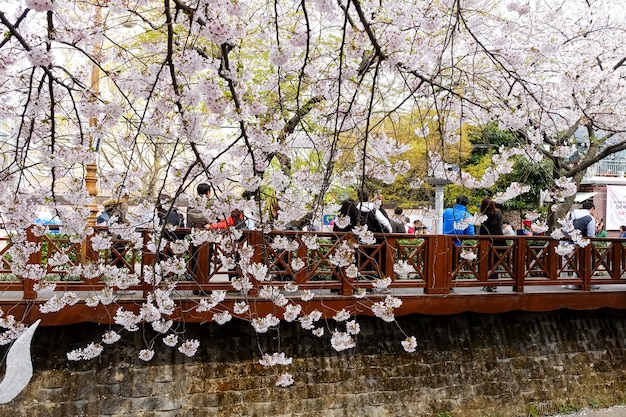 Mensen lopen op Jinhae Gunhangje Festival in Busan, Korea.