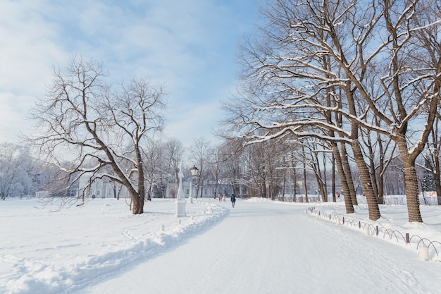 Mensen lopen op Yelagin Island in de winter Sint-Petersburg, Rusland.