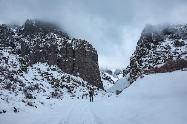 Mensen met winterse natuur